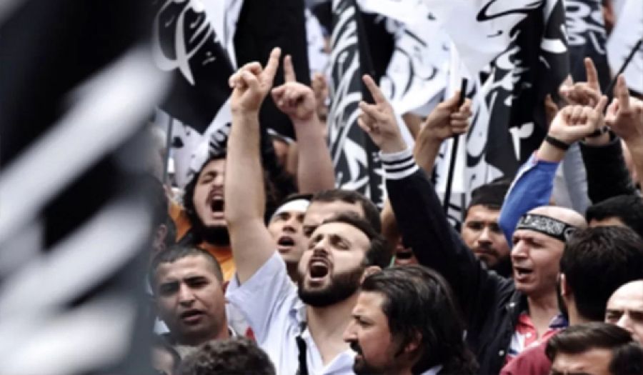 عندما تأمن الفئران غياب الأسود