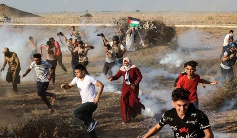 أيها المسلمون غزة وكل فلسطين بانتظاركم  لتنقذوها من يهود وتآمر حكامكم