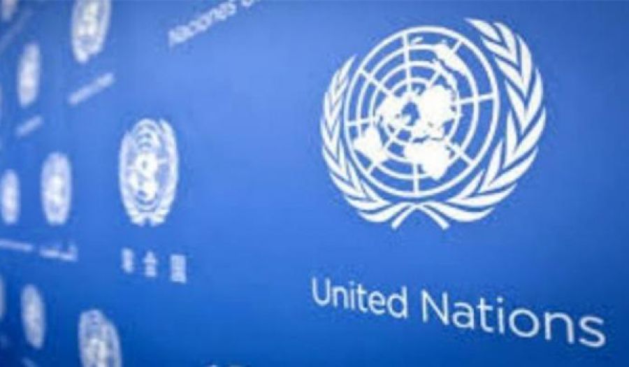 انتصار وهمي  في قاموس المفرطين