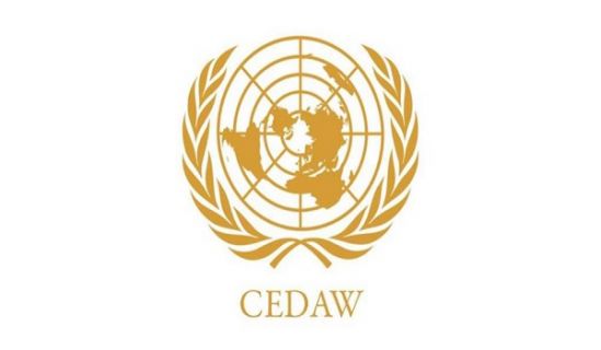 اتفاقية سيداو حرب على أحكام الإسلام  جنودها العملاء الخانعون للغرب