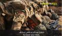 حزب التحرير/ ولاية باكستان  يا جيوش المسلمين أجبّار في الجاهلية خوّار في الإسلام؟!