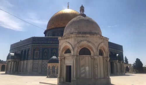 مهما طغى يهود وتجبروا  فسيأتي يوم فيه يدحرون