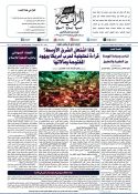 جريدة الراية العدد 590