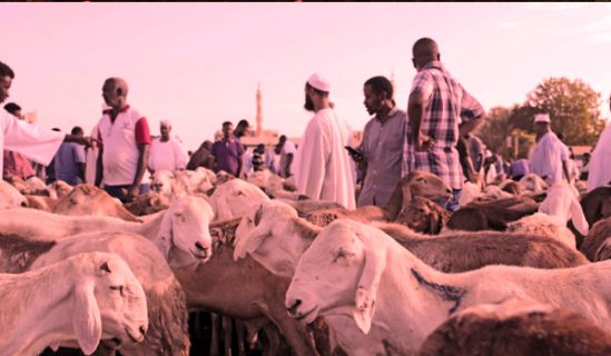 الغلاء نتاج طبيعي في ظل الأنظمة الرأسمالية