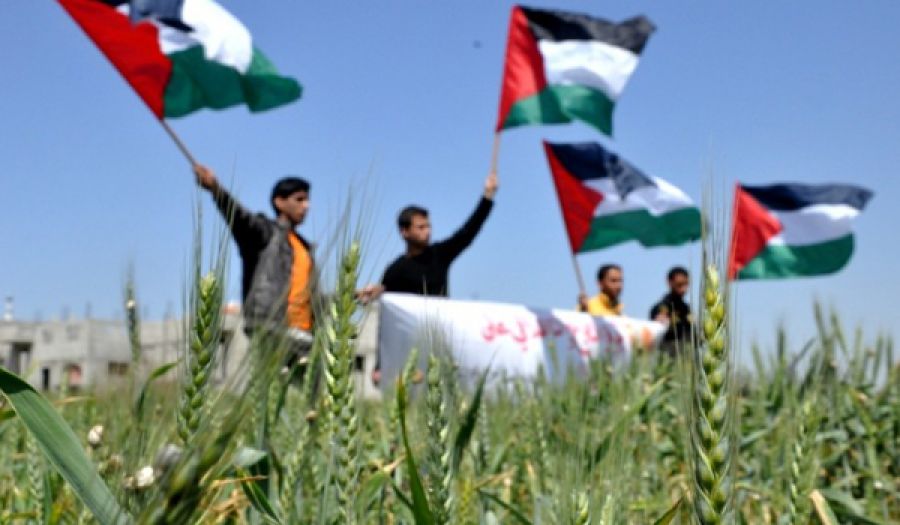 يوم الأرض حافز لتحرير فلسطين، وليس للتفريط بها