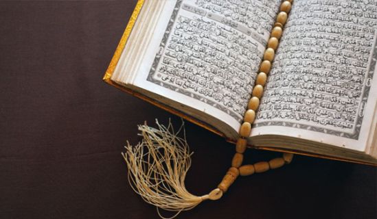 الحزبية والسياسة في نظر الإسلام