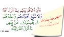 المزج بين الإسلام والديمقراطية  كالمزج بين الشَّهد والخمر!