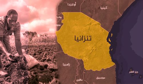 حرب المحاصيل بين ملاوي وتنزانيا