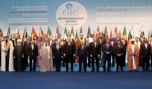 مؤتمر القمة الإسلامية... تمخض الجبل فأنجب فأرا