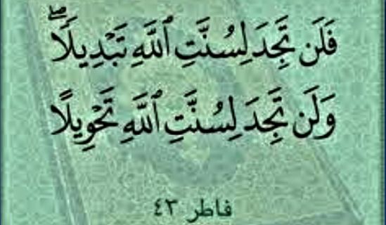 السنن لا تمنح البدائل لمن لا يعمل