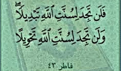 السنن لا تمنح البدائل لمن لا يعمل