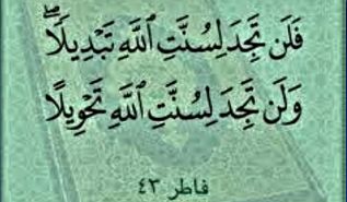 السنن لا تمنح البدائل لمن لا يعمل