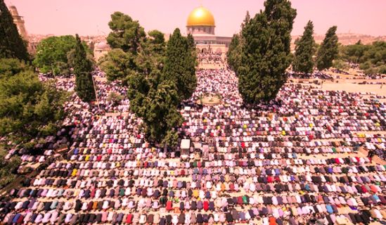 الأرض المباركة فلسطين  على موعد مع نصر القوي العزيز