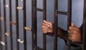 33 من شباب حزب التحرير  يخضعون لأحكام بالسجن عالية في أوزبيكستان