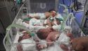 &quot;وفاة&quot; الرضّع في مستشفى بتونس  حين يتحوّل النّظام في تونس إلى قاتل متسلسل