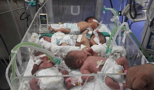 "وفاة" الرضّع في مستشفى بتونس  حين يتحوّل النّظام في تونس إلى قاتل متسلسل