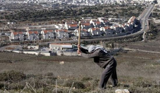 قرار الضم وحل الدولتين  صنوان لا يختلفان