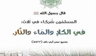 السياسة الاقتصادية في الإسلام  بينت مكمن الدّاء ووضعت له الدواء