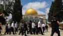 لم يكن صلاح الدين لـ&quot;يدين&quot; بل ستتحرك جيوشه لتحرير فلسطين!