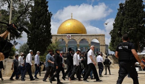 لم يكن صلاح الدين لـ"يدين" بل ستتحرك جيوشه لتحرير فلسطين!