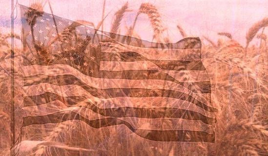 السودان سلة غذاء المسلمين تستجدي القمح!  في دين من هذا؟!