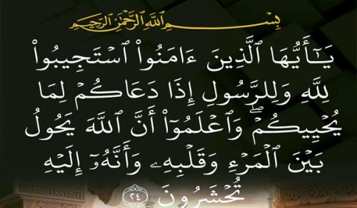 ﴿يَا أَيُّهَا الَّذِينَ آمَنُواْ اسْتَجِيبُواْ لِلّهِ وَلِلرَّسُولِ إِذَا دَعَاكُم لِمَا يُحْيِيكُمْ﴾