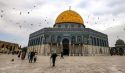فلسطين درة  في تاريخ المسلمين