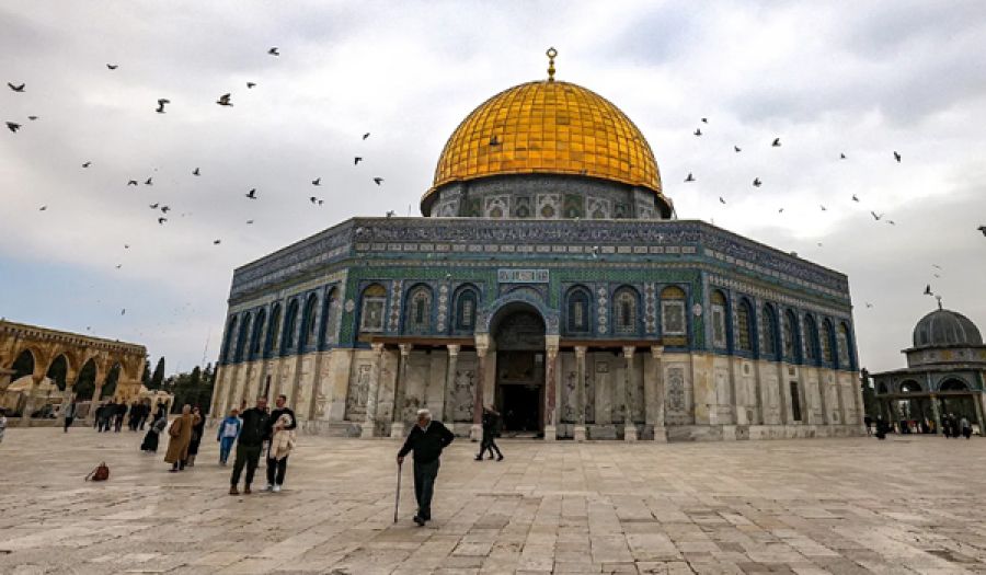 فلسطين درة  في تاريخ المسلمين